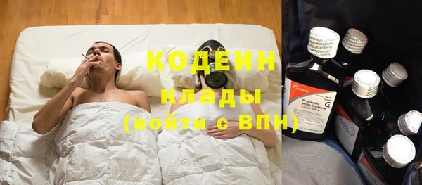 не бодяженный Алексин