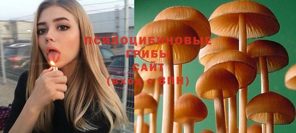 не бодяженный Алексин
