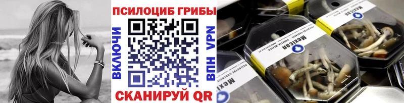 Галлюциногенные грибы GOLDEN TEACHER  MEGA маркетплейс  Батайск  дарнет шоп 