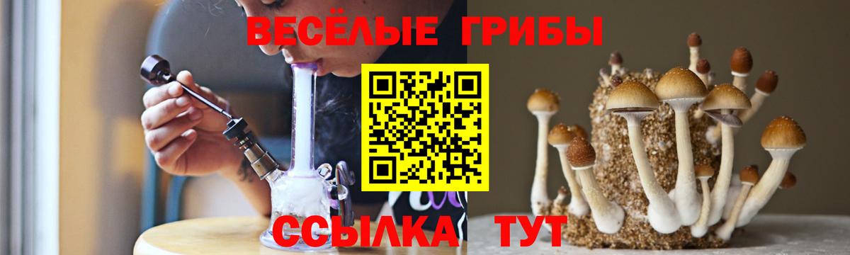 Псилоцибиновые грибы мицелий  Вход с VPN  даркнет сайт  Батайск 